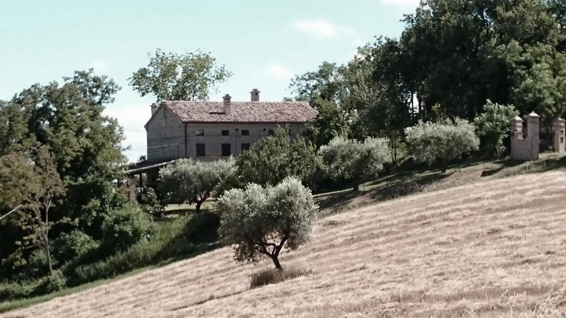 Bed And Breakfast La Vecchia Scuola 몬테파노 외부 사진