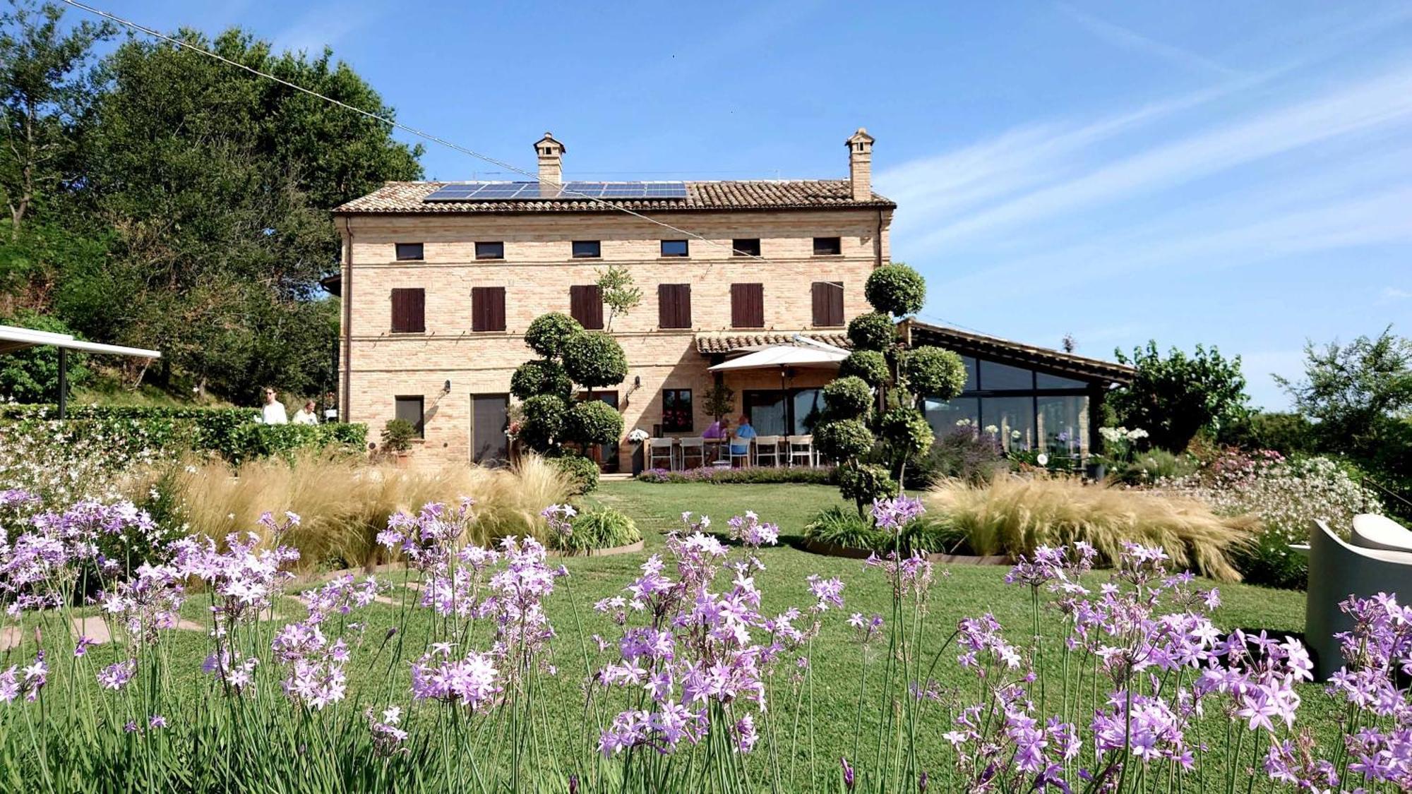 Bed And Breakfast La Vecchia Scuola 몬테파노 외부 사진