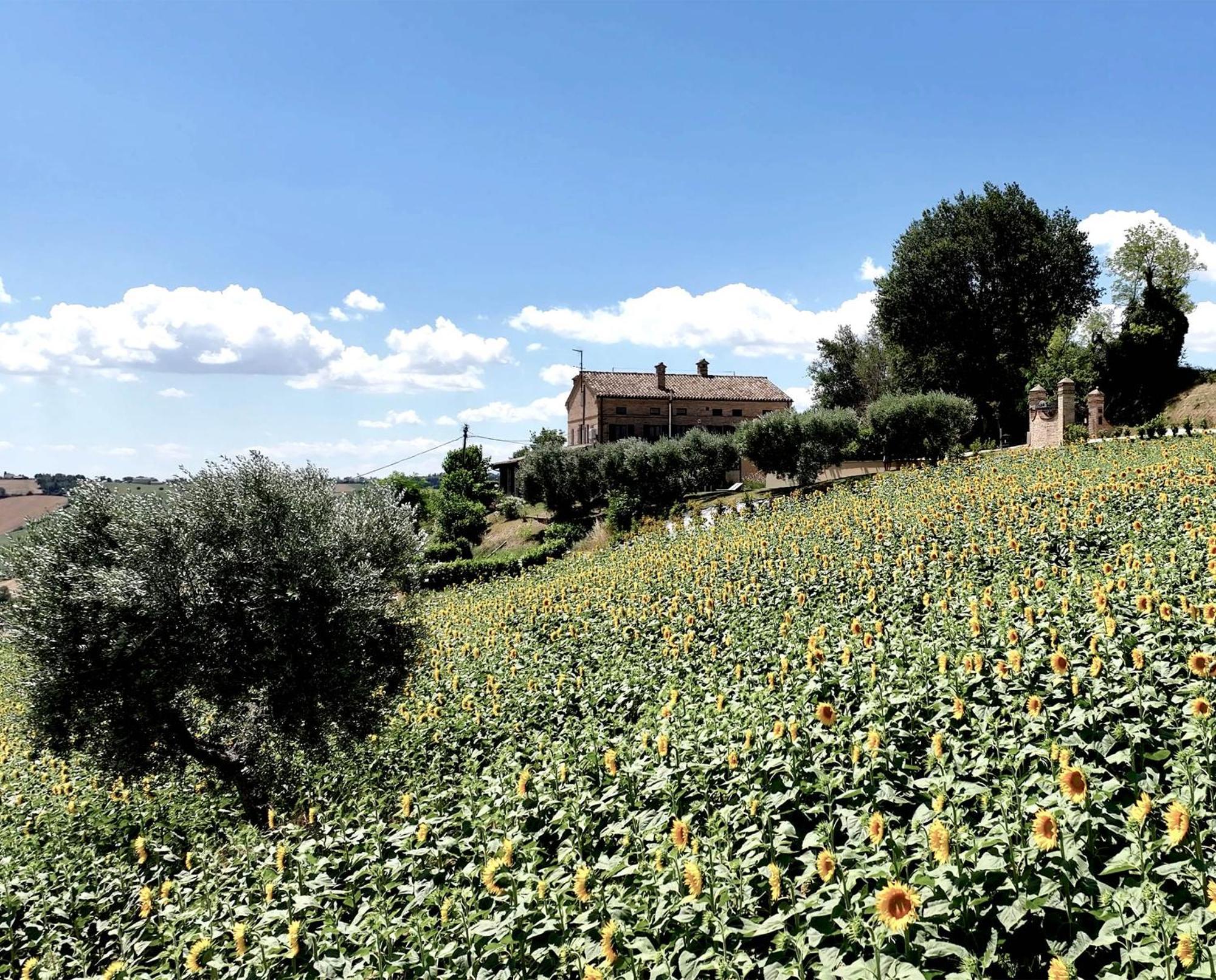 Bed And Breakfast La Vecchia Scuola 몬테파노 외부 사진